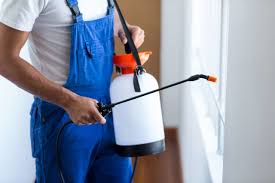 Best Pest Prevention Services  in Woodlawn, OH